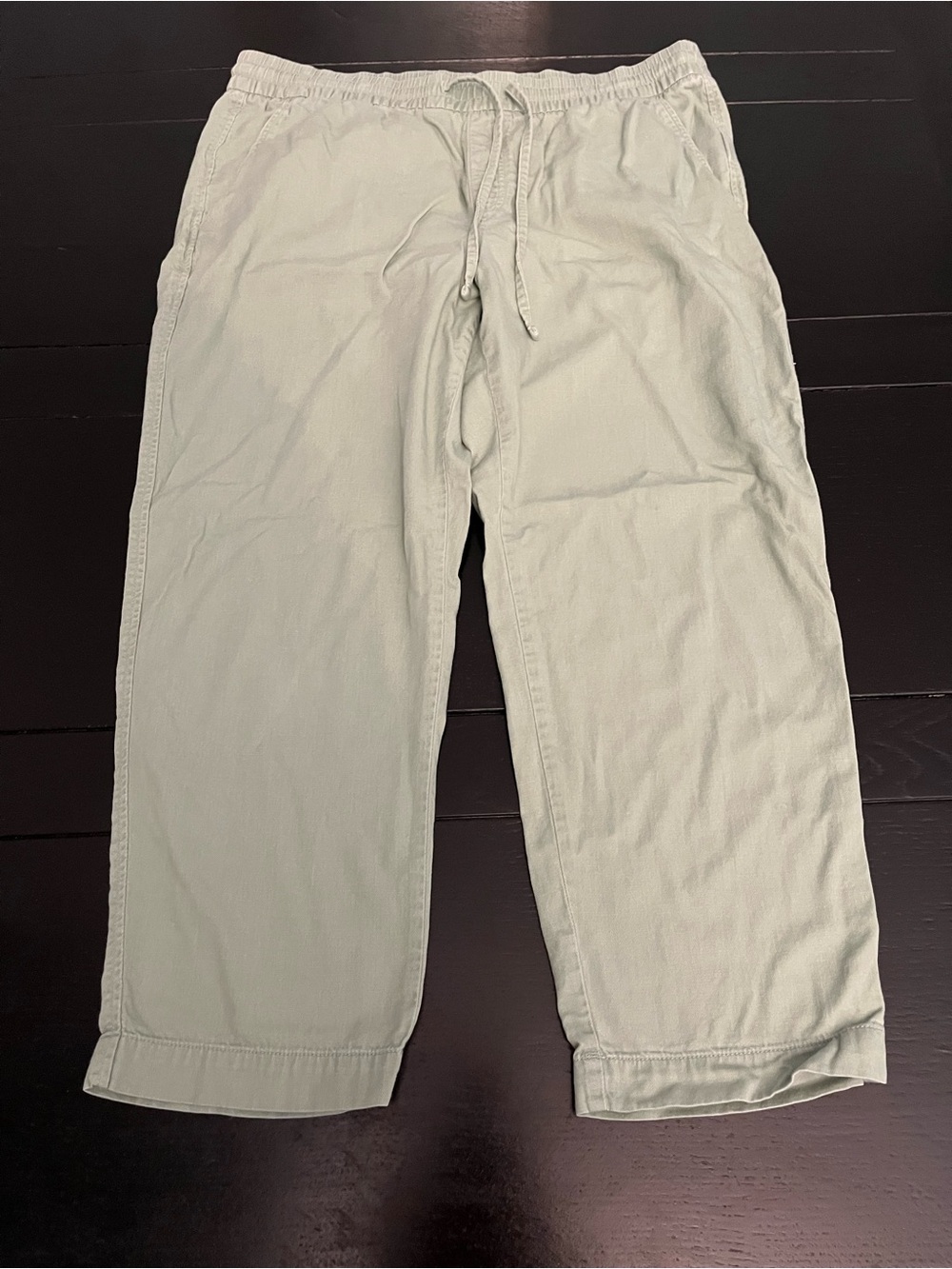 GAP Men's Light Sage Green Drawstring Chinos